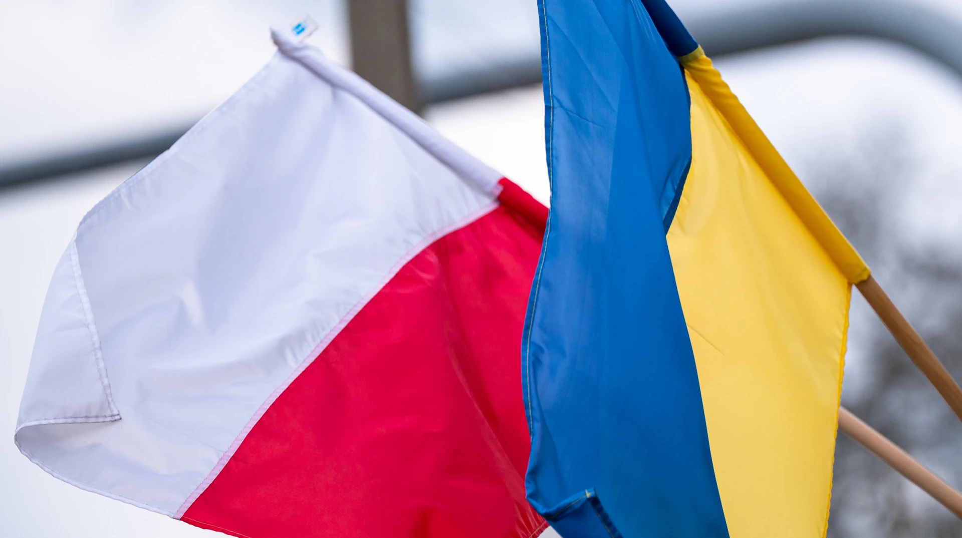Польща; сектор домогосподарств як найбільш постраждалий від наслідків війни в Україні